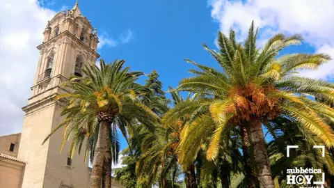 Iglesia de la Asunci&oacute;n y &Aacute;ngeles Cabra Subb&eacute;ticaHoy