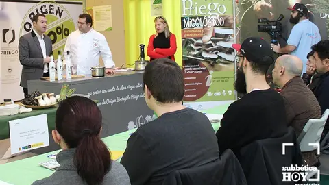 priego micologico subbetica hoy