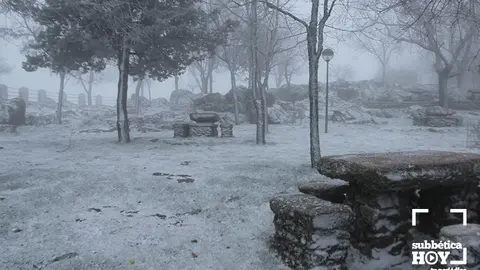 nieve cabra