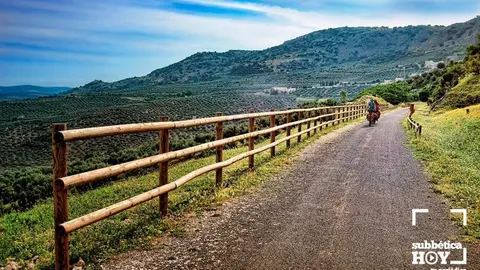 via verde olivar andaluciaorg