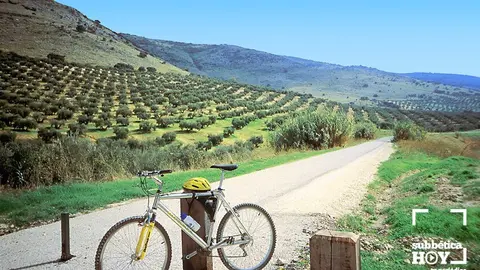 olivar via verde subbetica