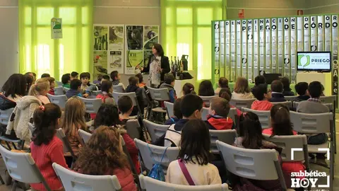 escuela do priego subbetica