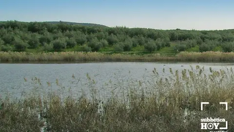 LAGUNA DE SAN CRIT&Oacute;BAL en CABRA