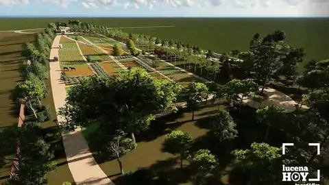 LUCENA VERDE INFOGRAFIA