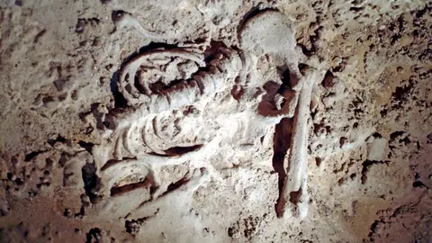 restos humanos fosilizados en la Cueva de los Murci&eacute;lagos de Zuheros