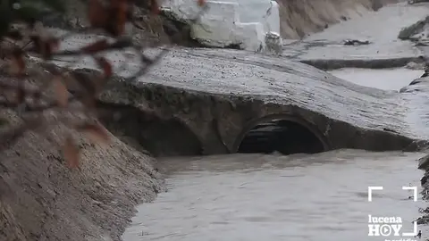 pasos en la carretera de La Torca