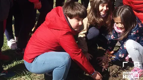 REFORESTACION VIA VERDE