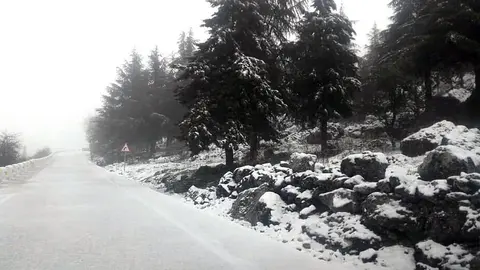 nieve 3 cabra