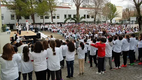 colegio virgen de araceli