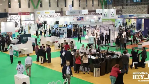 Zona expositiva Greencities
