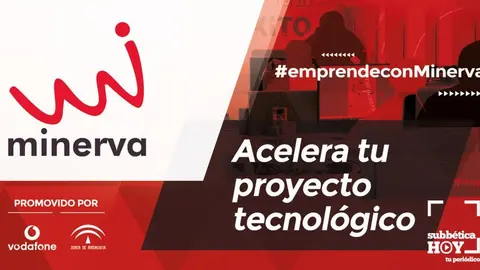 Programa Minerva
