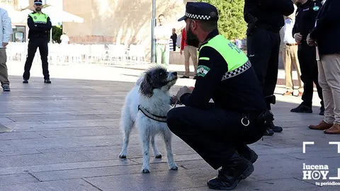 unidad canina