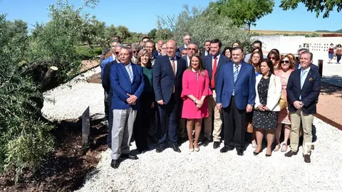 OLIVAR MEDINA ZAHARA