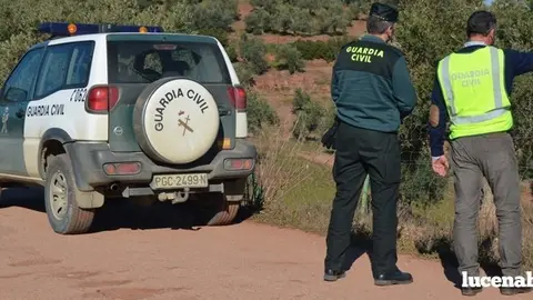 La Guardia Civil recibe una decena de denuncias por robos en el olivar. Se han practicado 27 detenciones