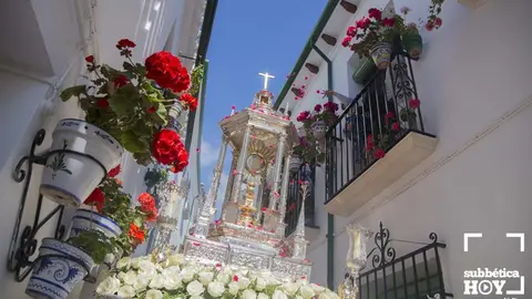 Corpus Priego 2018 10