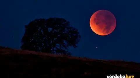 Luna de sangre