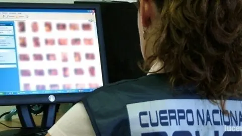 Un detenido en una operaci&oacute;n contra la pornograf&iacute;a infantil
