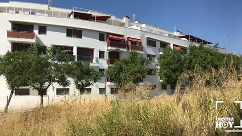 maleza dehesa de la Villa
