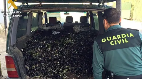 robo aceituna guardia civil