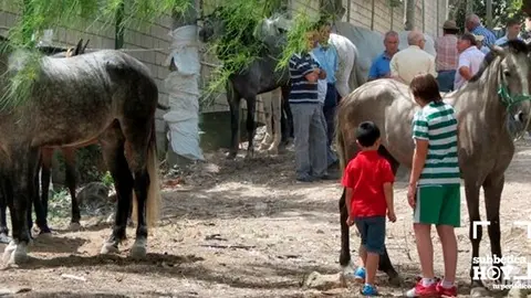 feria del ganado