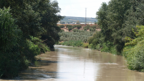 rio genil