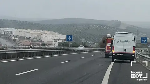2018121912281244041