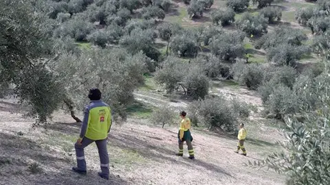 busqueda priego