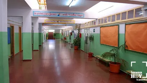 COLEGIO VIRGEN DE ARACELI