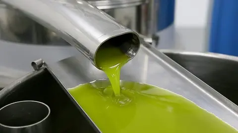 AOVE-Almazara-de-aceite