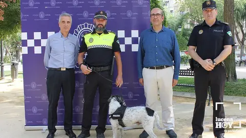 perro lh
