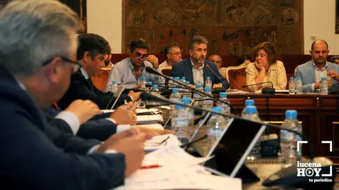 pleno diputaci&oacute;n