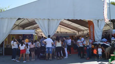 ExpoIzn&aacute;jar