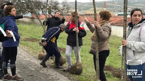 mejorana 2