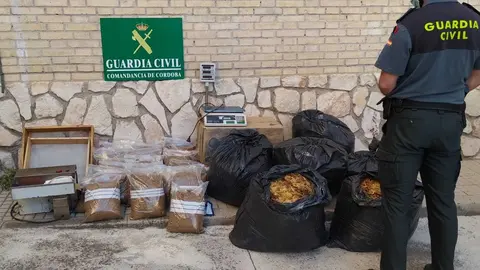  PICADURA DE TABACO LUCENA 
