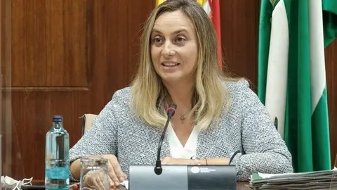 Marifr&aacute;n Carazo durante la Comisi&oacute;n