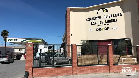  Cooperativa Olivarera de Lucena 