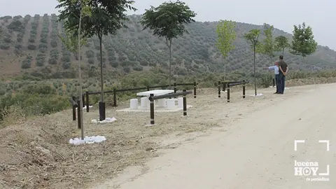  camino moz&aacute;rabe lLUCENA HOY 