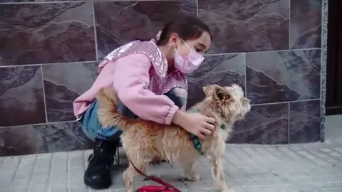 Campa&ntilde;a Izn&aacute;jar