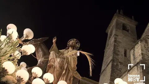  Pollinita 39 