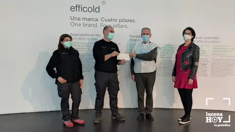  efficold potitos 