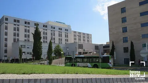  Hospital Reina Sofía1 