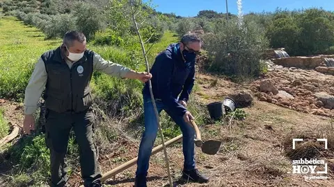 reforestacion carcabuey