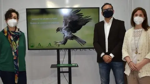 Priego &aacute;guila