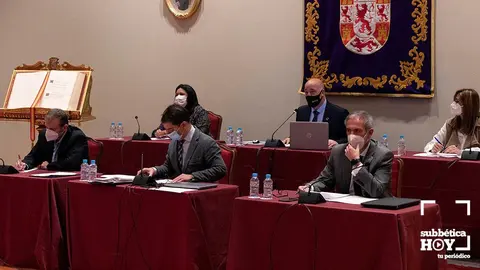 pleno diputaci&oacute;n