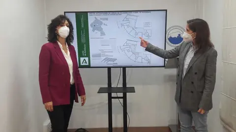 Obras Accesibilidad Priego
