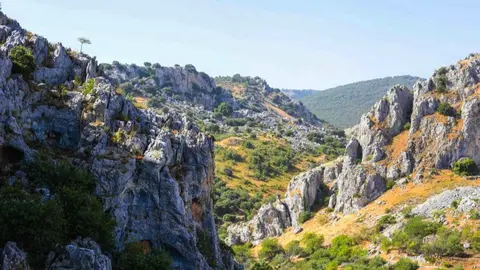 PARQUE NATURAL SUBB&Eacute;TICA