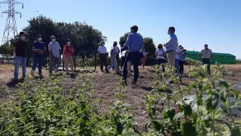 Jornadas plantas arom&aacute;ticas