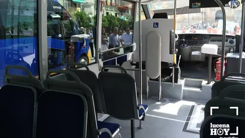  BUS URBANO 