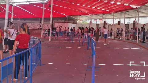 vacunas Lucena 