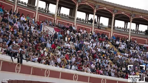  TorosLucena (6) 